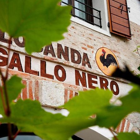 Al Gallo Nero Hotel Borgoricco Екстериор снимка