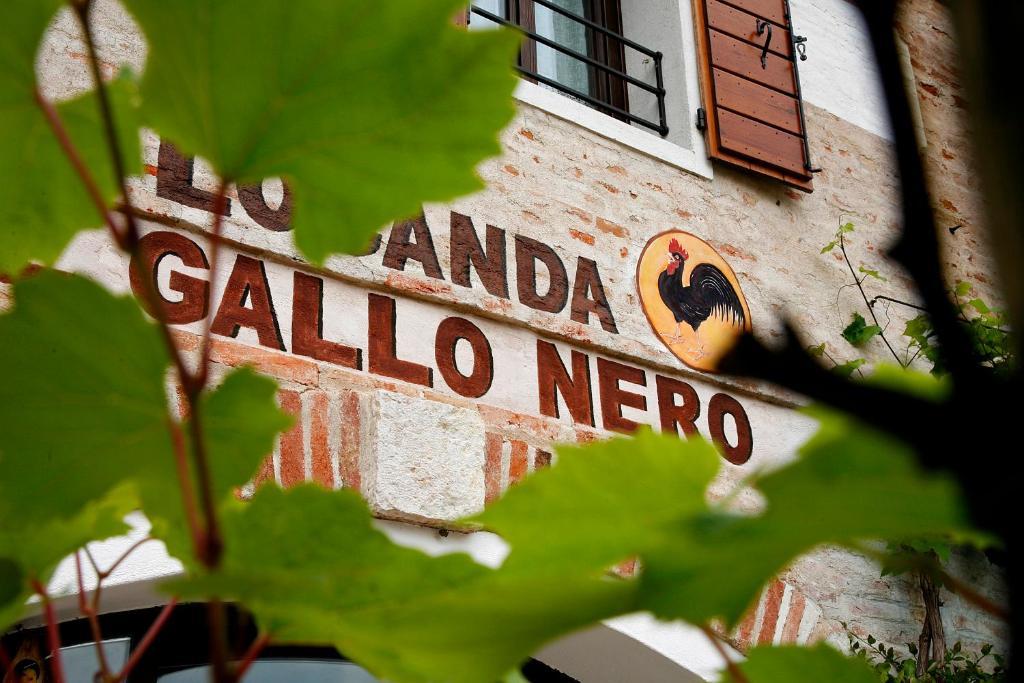 Al Gallo Nero Hotel Borgoricco Екстериор снимка